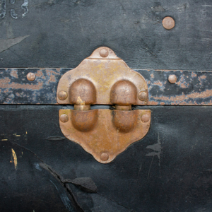 The Trunk