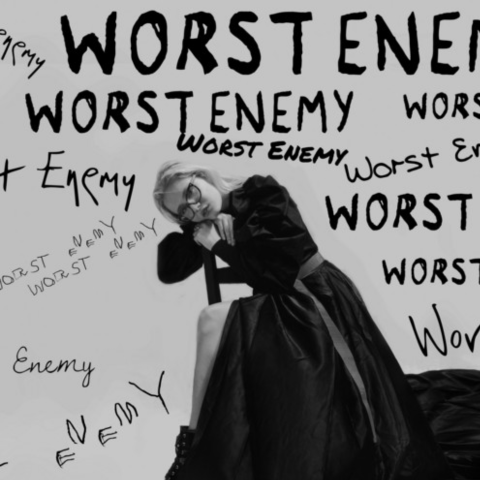 Our worst enemy