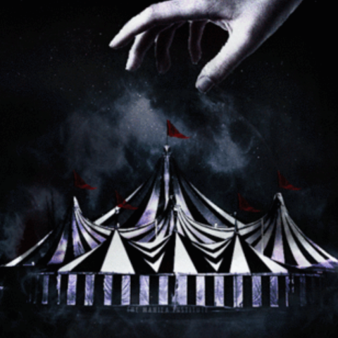 Late Night Circus Called My Life