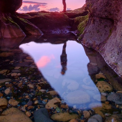 Reflection of the Soul