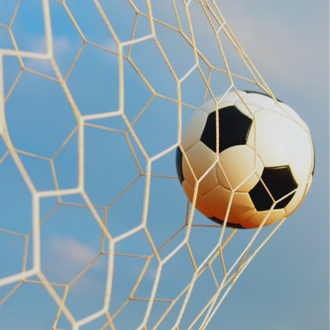 FOOTBALL OF LIFE