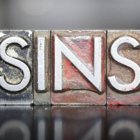 Sins in Sacred Skin
