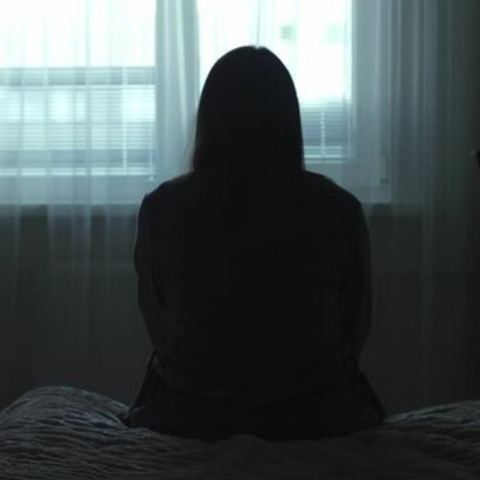 The Dark