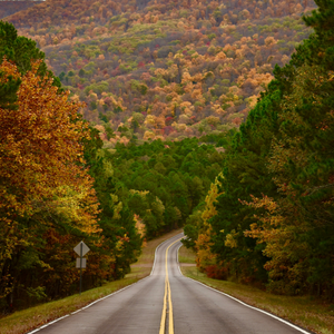 Walk the Road