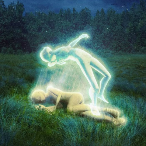 Nature's Nurture