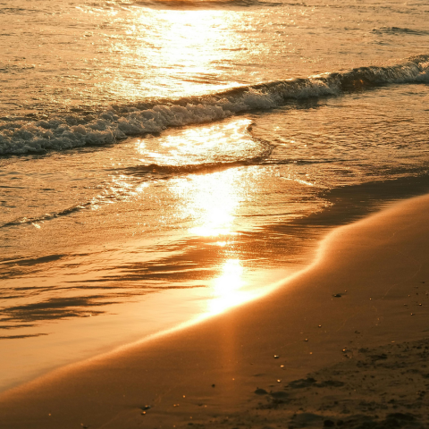 The View by the Beach