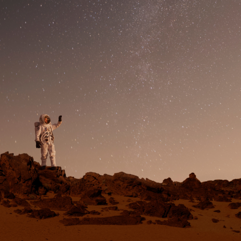 When you built your home on Mars.