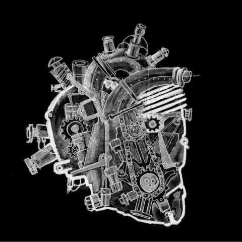 The Heart