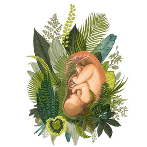 The Chosen Womb
