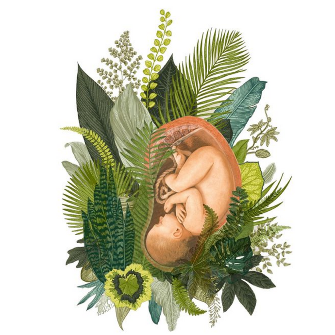 The Chosen Womb