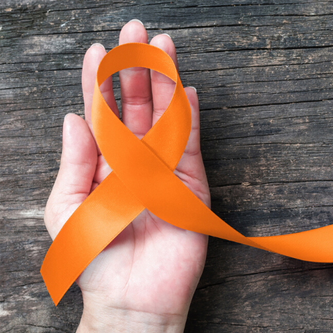 Multiple Sclerosis Chronicles