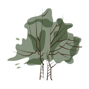 Naked Leaf