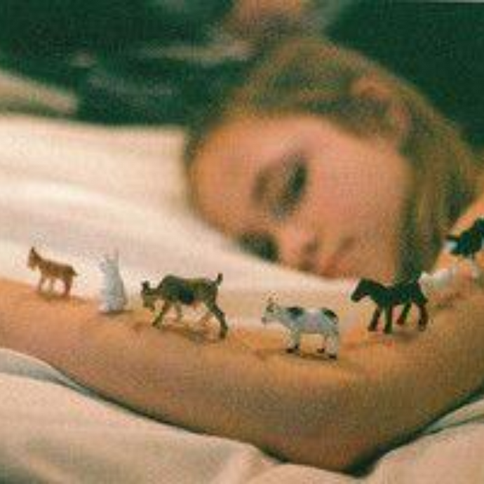 A Bittersweet Dream