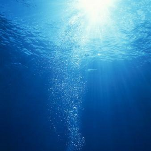 Into The Wide Blue Yonder Sea