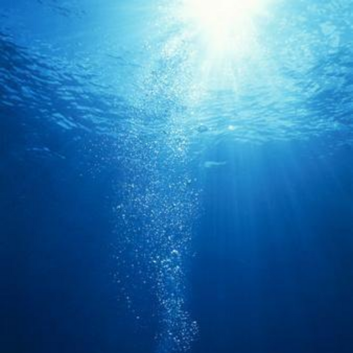 Into The Wide Blue Yonder Sea