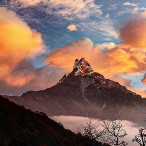 The Mountain I Never Climbed