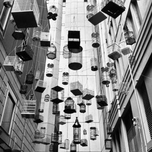CAGED