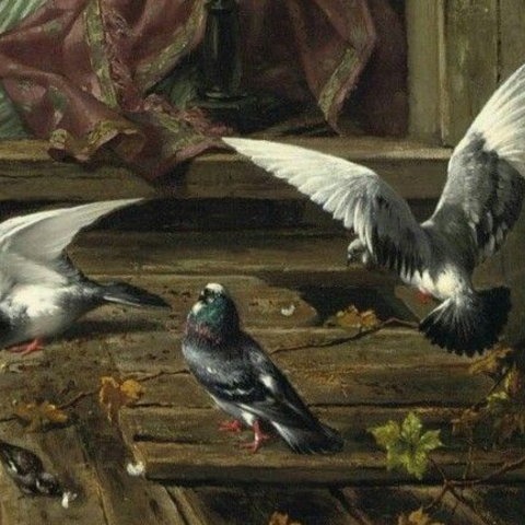 Pigeons Will Live On