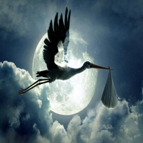 I Dare to Dream
