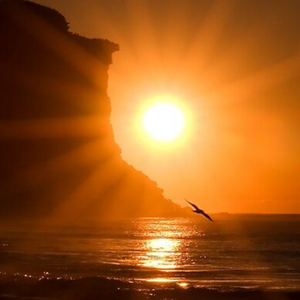 Veins of Dawn