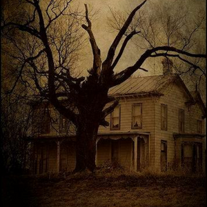 The Hushed Entities