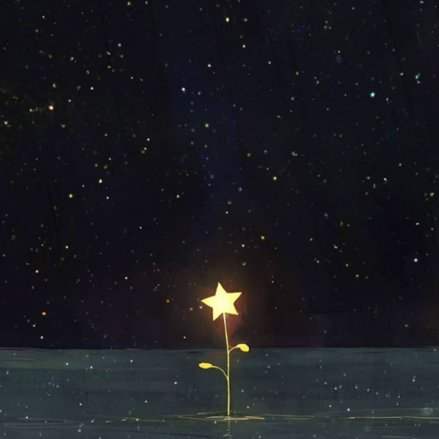 An Ode To My Guiding Star