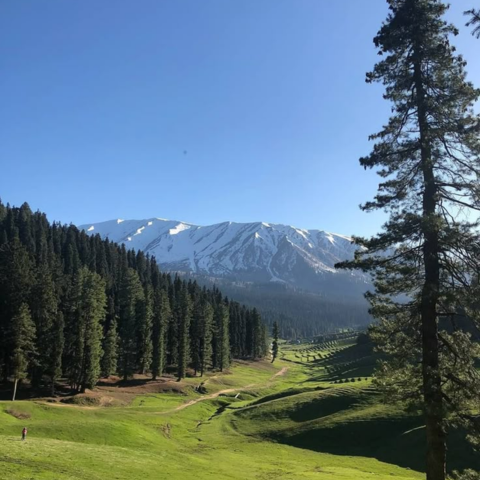 The Valley Of Death