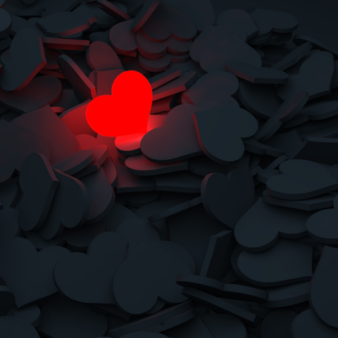 A Bitter Love