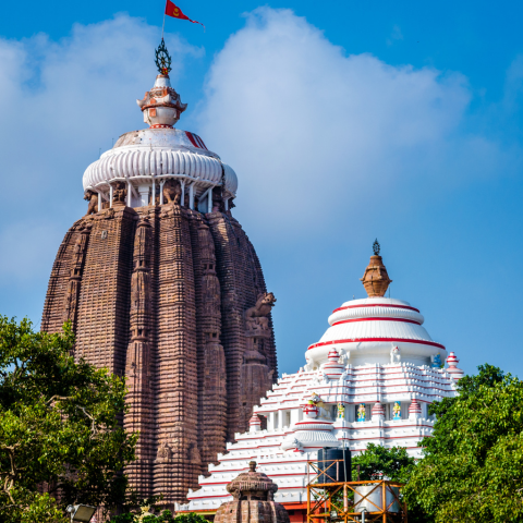 ତୋ ପରି ଠାକୁର ପାଇଲି ନାହିଁ