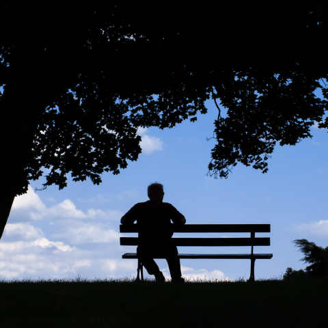 Musings of a Languished Mind