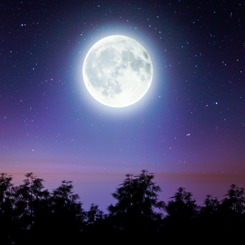 Moon