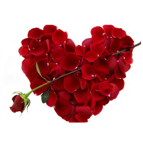 Valentine's Shootout