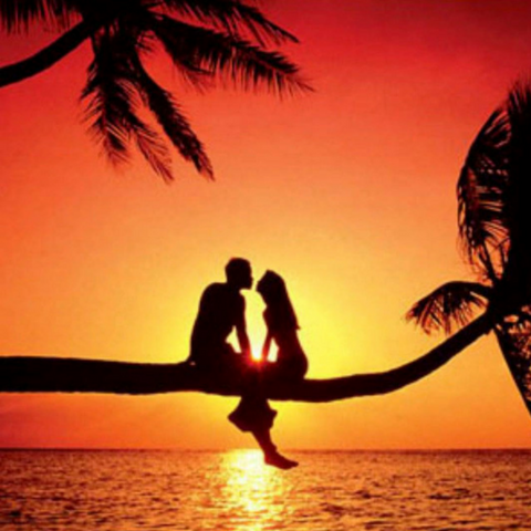 Celebrate Love