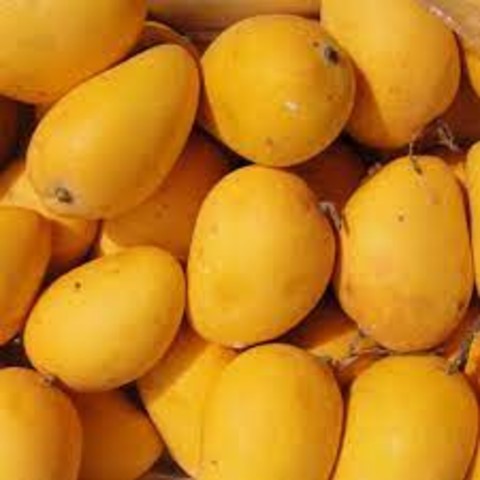একদিন হঠাৎ