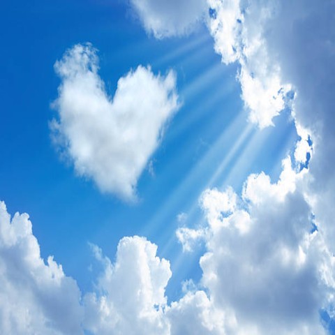 My Heart With A Heart