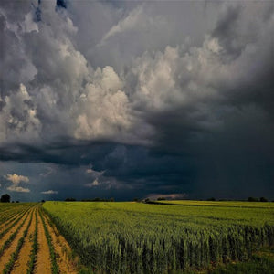 The lull before the storm