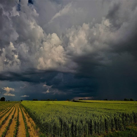 The lull before the storm