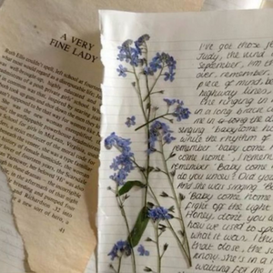 Letter To My Mom