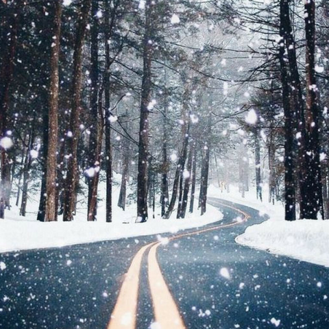 Winter Love