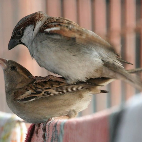 Falling in love