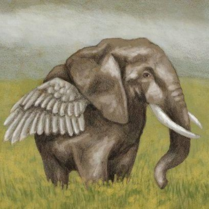 The Flying Elephant