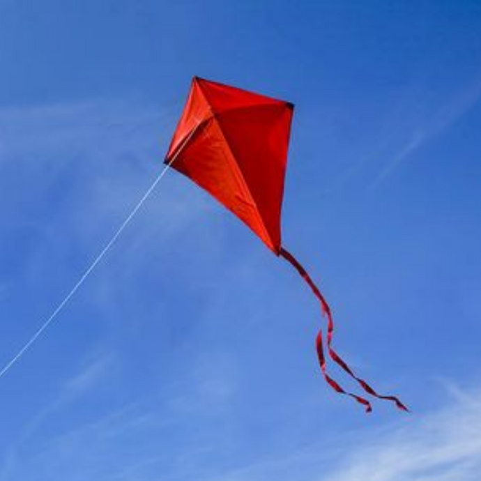 THE RED KITE