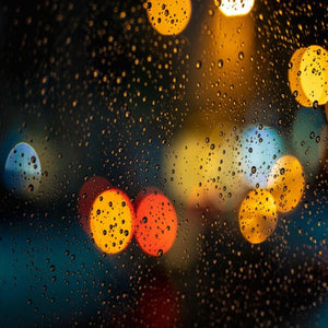 Damp