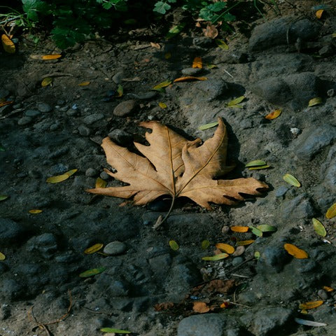 Weathered