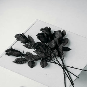 A Roses Warning