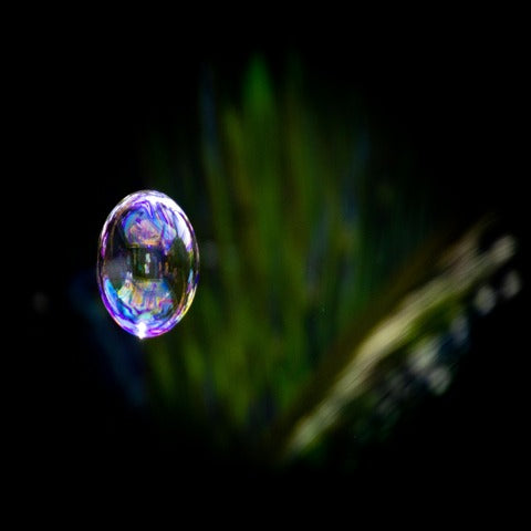 the bubble