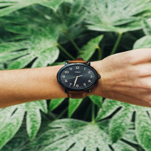 The watch