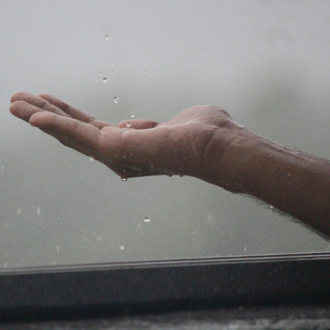 The Love of Blue-tinted Rain
