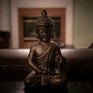 बुद्ध के पदचाप