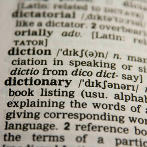 The Politics Of Language